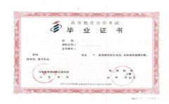 成考和自考属于什么教育 哪个含金量高