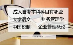 网教和成考的区别 哪个更好