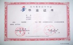 成人本科学历包括成考专升本吗
