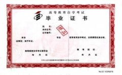 中专生可以报考远程教育提升学历吗