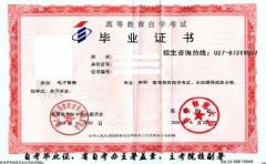 成人高考和网络教育的区别有什么